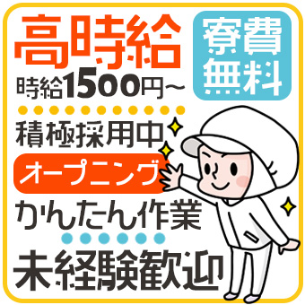 プラスチック製品の検査作業