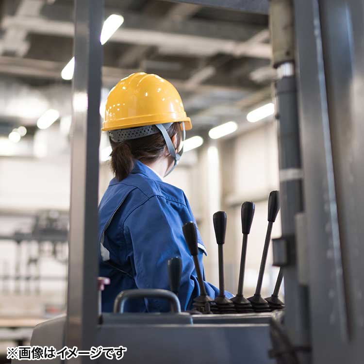 大手物流倉庫での入出荷作業